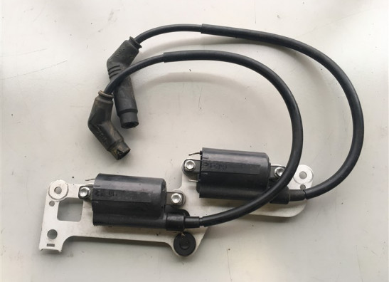 Bobine Aprilia Tuono 1000