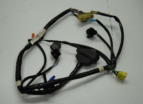 Wire Harness Honda Lead