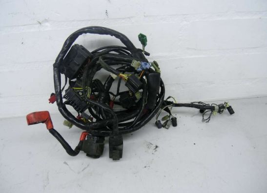 Kabelbaum Honda CBR 1000 F