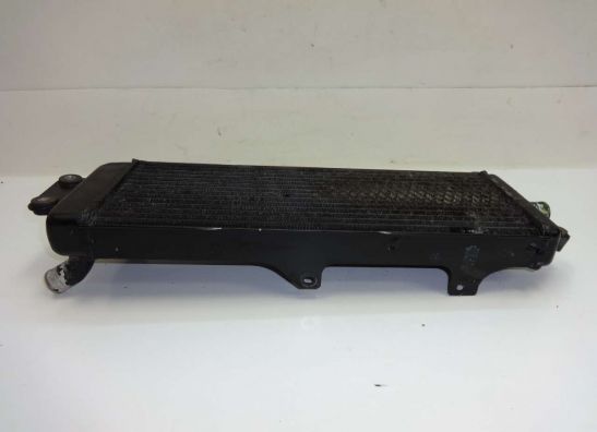 Kuhler Suzuki VX 800