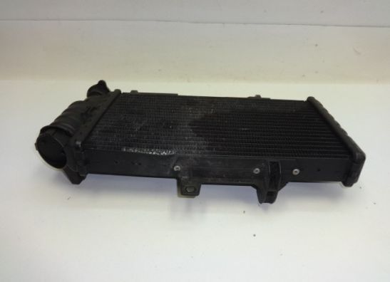 Radiateur BMW F 800 S - ST