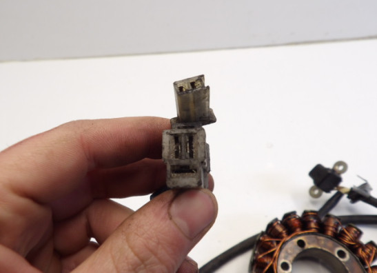 Dynamo Yamaha YX 600 Radian