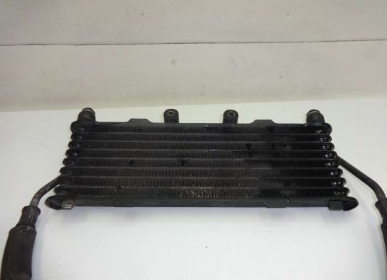 Olkuhler Suzuki GSX F 600