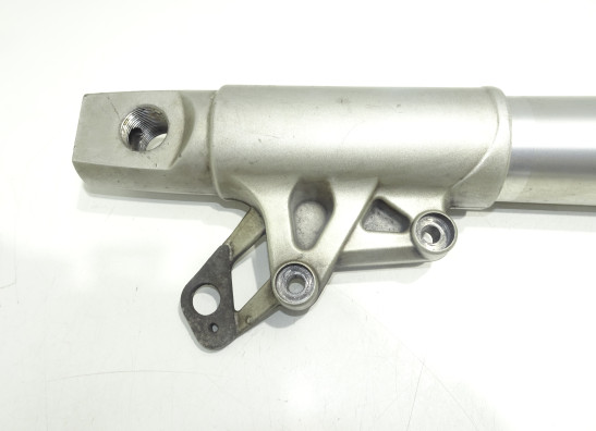 Standrohr Gabelholm links komplett BMW R 1200 GS