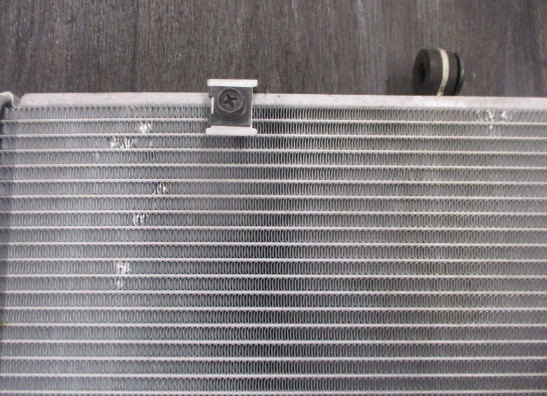 Radiator Kawasaki Z 1000 Sx