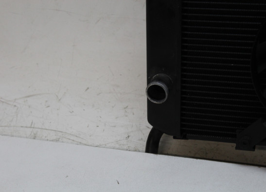 Radiateur Yamaha XJ 6 N