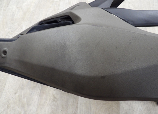 Hinterradschwinge Ducati Monster 821