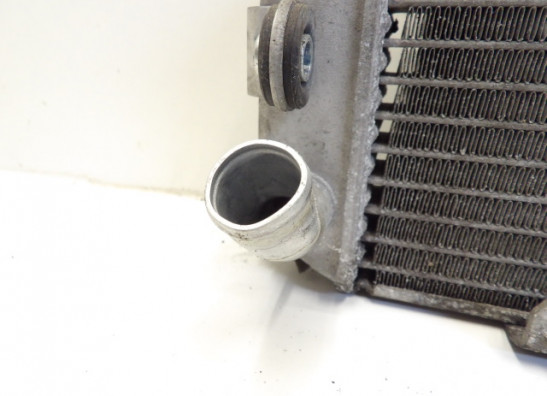 Kuhler Yamaha YP 400 Majesty