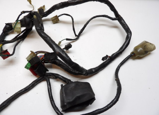 Kabelboom Honda CBR 600 F