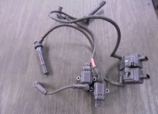 Bobine Ducati Diavel 1260