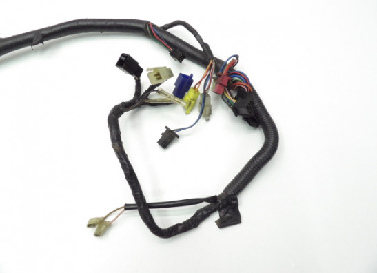 Wire Harness Yamaha FZR 600