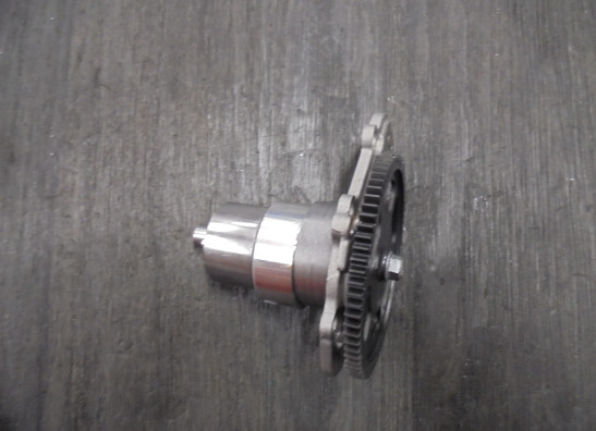 Oliepomp BMW R 1250 GS