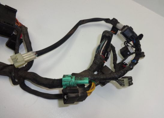 Wire Harness Suzuki DL 1000 V STROM