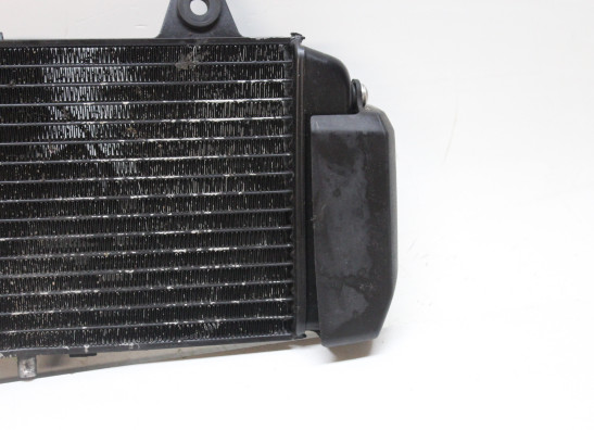 Radiator Yamaha MT 03