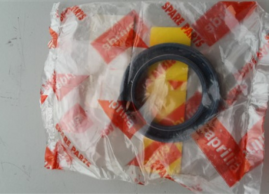 Overig Aprilia RSV 1000