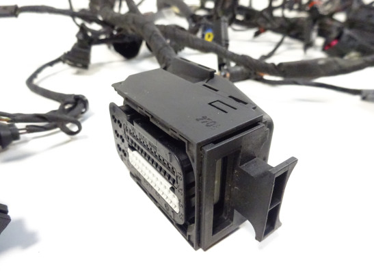 Kabelboom BMW F 650 GS