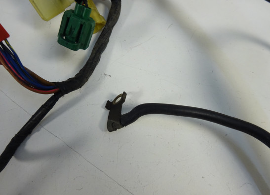 Wire Harness Yamaha TDM