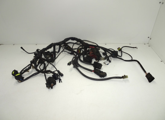 Wire Harness Ducati monster 600