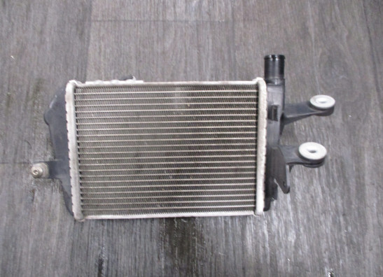 Radiateur BMW R 1250 RT