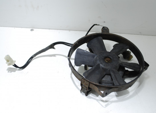 Fan Honda TRANSALP