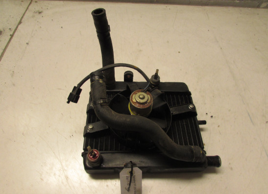 Kuhler Yamaha YP 250 Majesty