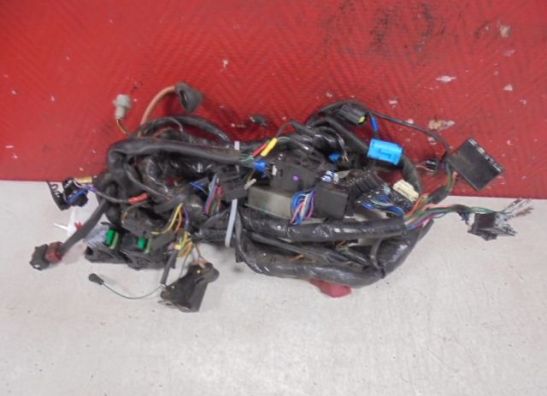 Kabelboom Triumph Tiger 955i 1999-2005