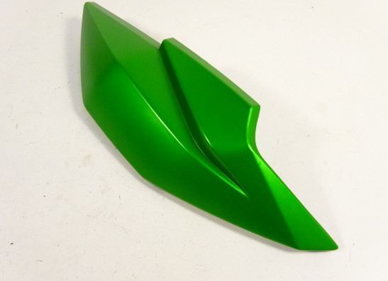 Kanzel links Kawasaki Z 300