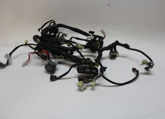 Kabelboom voor Yamaha FJR 1300