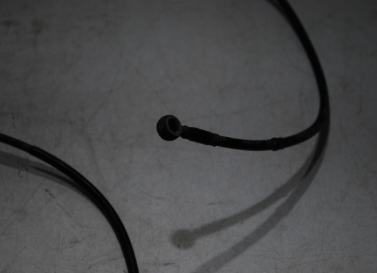 Brake hose front Triumph 595 T Daytona