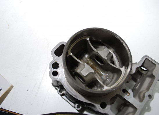 Zylinder Suzuki SV 1000