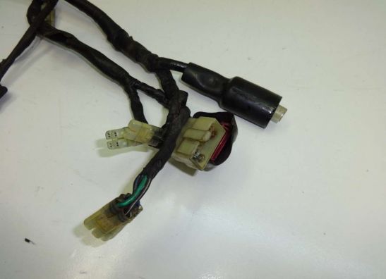 Wire Harness Honda TRANSALP