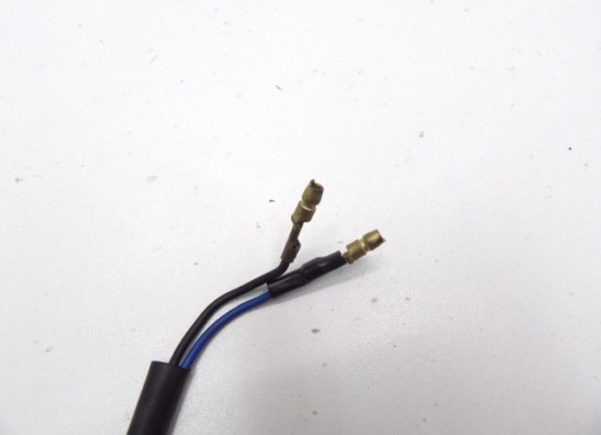 Winker right front Aprilia Pegaso