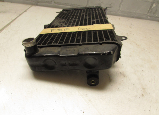 Kuhler Yamaha FZR 600