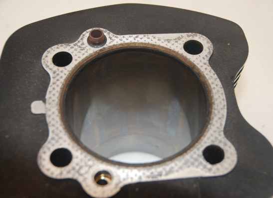 Cilinderblok Harley Davidson Softtail