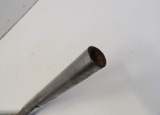 Steer Overig Onbekend Unknown