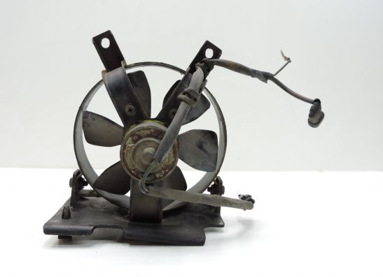 Fan Honda VTR 250