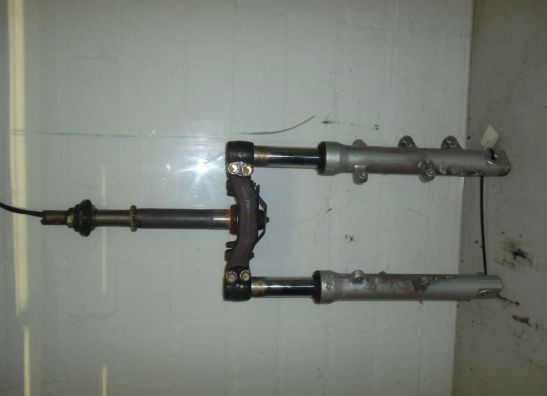 Voorpoten compleet Honda Fes 250