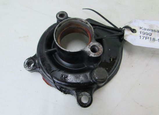 Motorblok diverse Kawasaki ZZR 1100