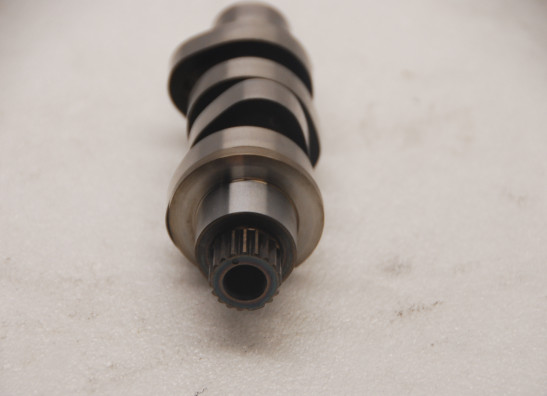 Nokkenas Harley Davidson Softtail