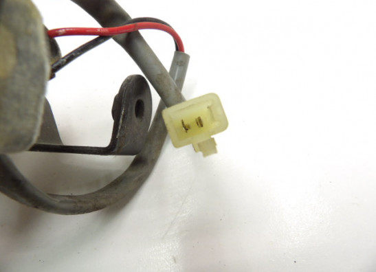 Kennzeichenhalter Kawasaki ZZR 600