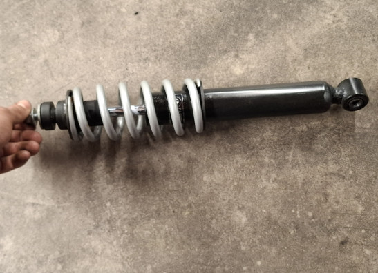 Stossdämpfer vorne BMW R 1200 R