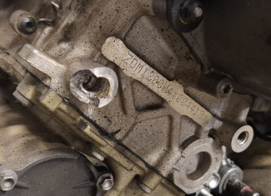 Motorblok Ducati Multistrada V4