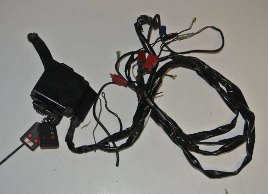 Wire Harness Honda VFR 800 I