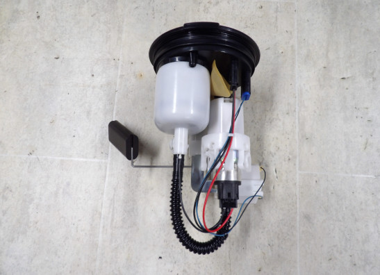 Benzinpumpe BMW F 900 R