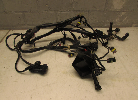 Wire Harness Ducati monster 900