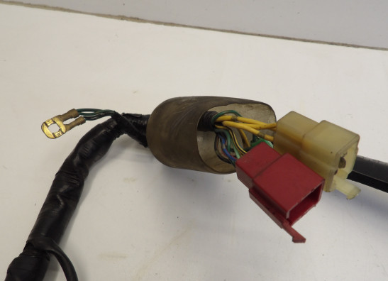 Kabelboom Honda CBR 600 F