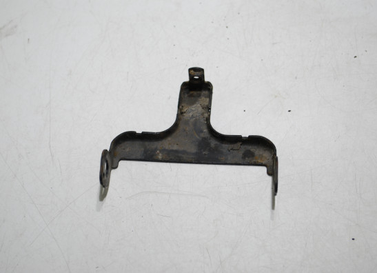 Kentekenplaathouder BMW R 1100 GS