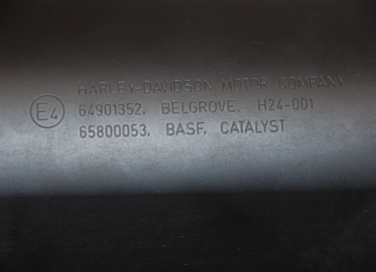 Auspuff Harley Davidson Touring FL
