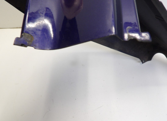 Heck rechts Honda CBR 900 RR