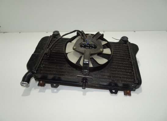 Radiateur Kawasaki ZZR 600